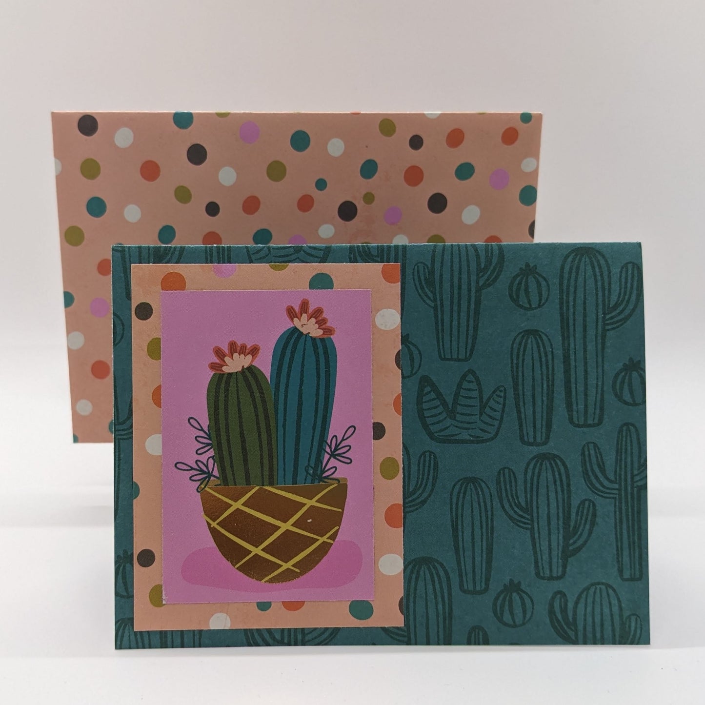 Sunshine and Llamas #1