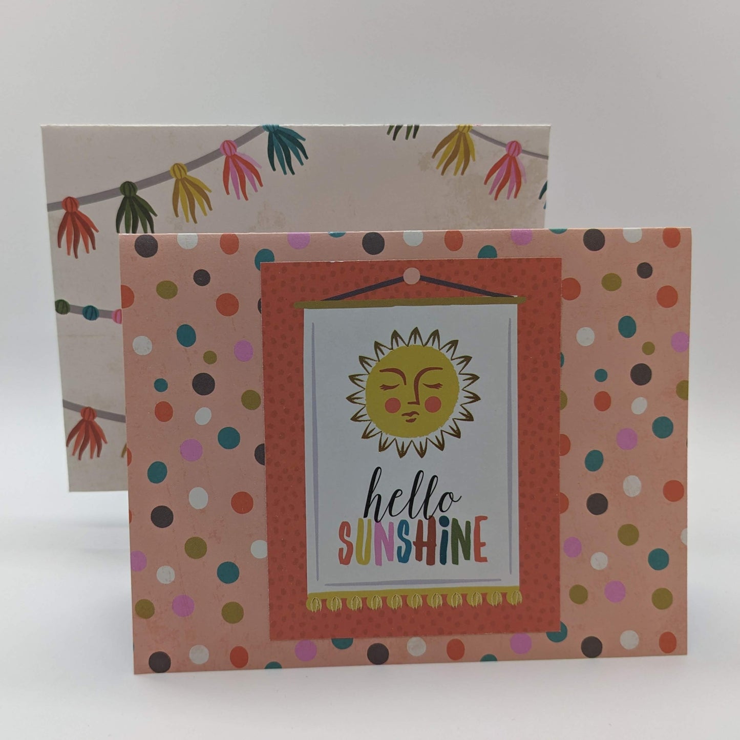 Sunshine and Llamas #12