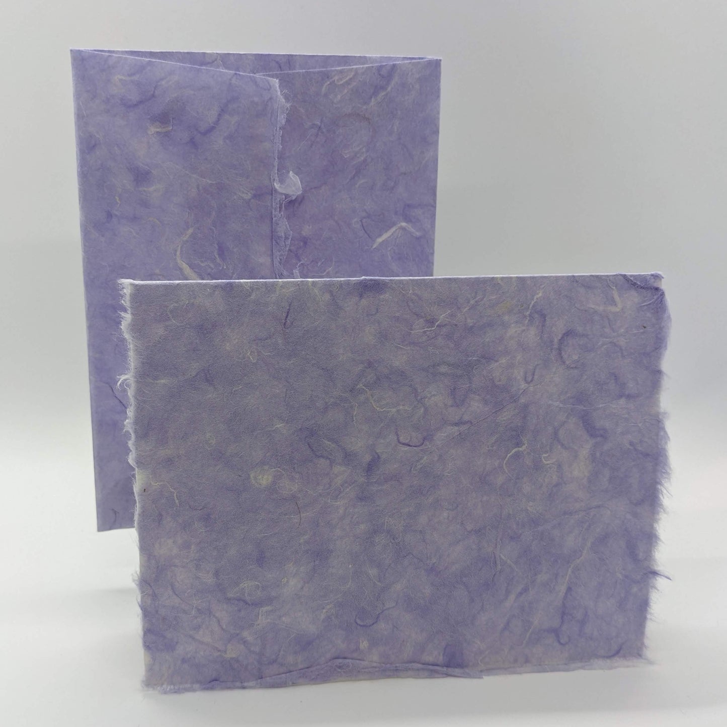 Lavender Mulberry #6